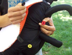 THE BUCKLE 
